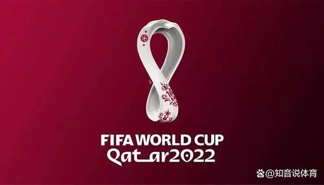 国产爱v