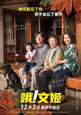 成人在线不卡视频