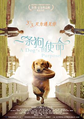 亚洲伊人色图