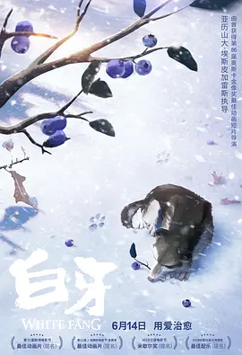 校园荣誉情侣
