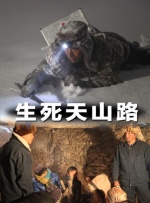 久久综合久久精品