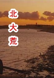国产午夜精品福利视频