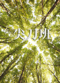 国产精品亚洲欧美日韩区