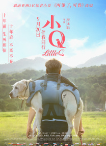 噼里啪啦国语电影大全