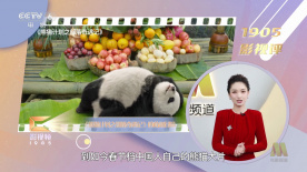 欧美一级性视频